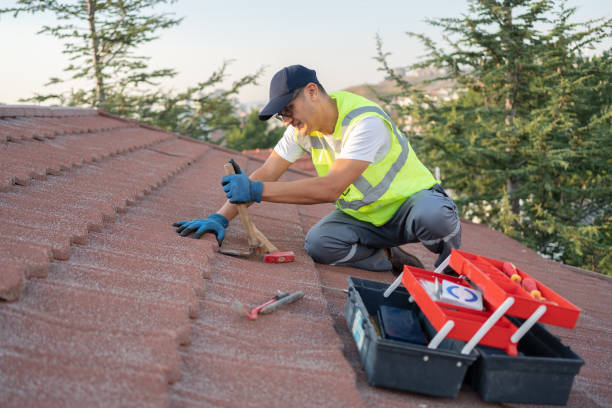 Best Storm Damage Roof Repair  in Paul, ID